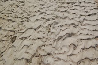 Beach Patterns 2