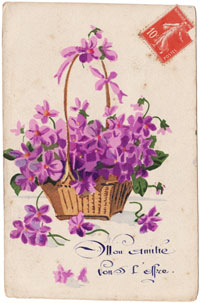 FreeDownload_3_Thumb