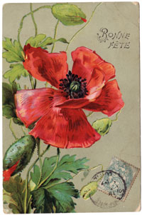 FreeDownload_2_Thumb