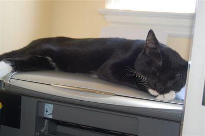 Taco:Printer