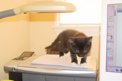 6a00d8341cbb0053ef017744d8fad3970d-800wi