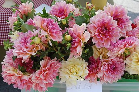 4269136508_86f463d642