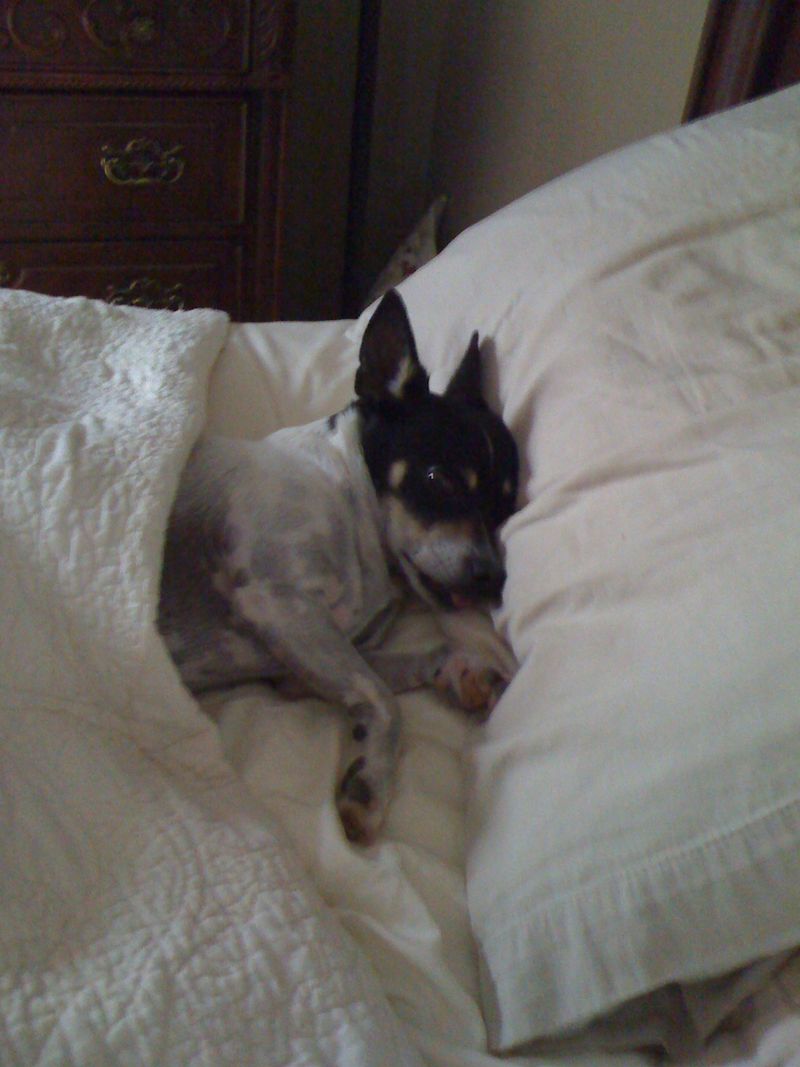 Get-attachment-4.aspx