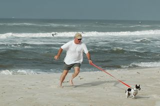 Get-attachment-2.aspx