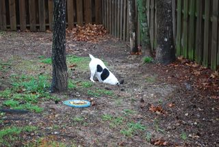 Get-attachment-5.aspx