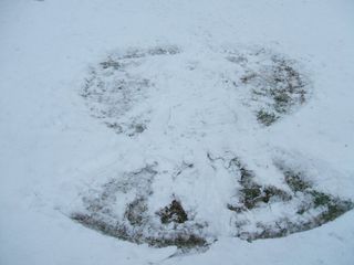 Andy's Snow Angel