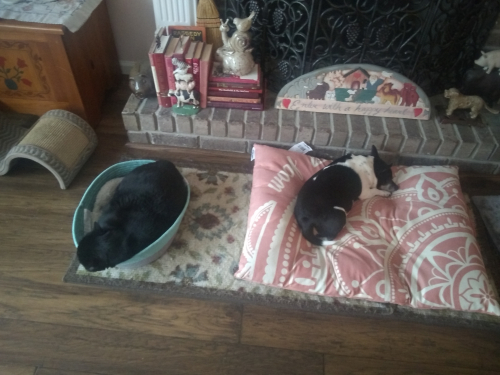 Skip&Taco