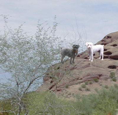 Sophie_and_ernie_on_the_rocks