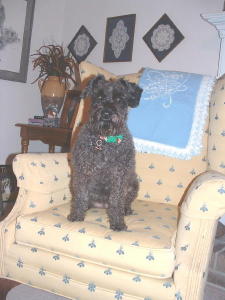 Ive_been_a_gooooood_girl