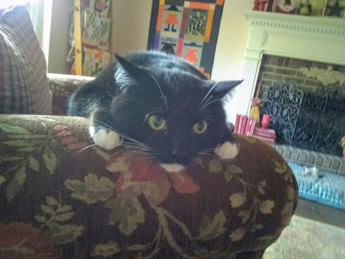 71871087_10218628818086174_537050699331010560_o