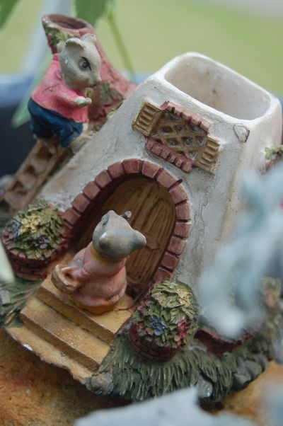 Fairy Garden 5