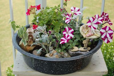 Fairy Garden 1