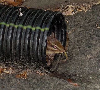 161227916_9f2af0b636