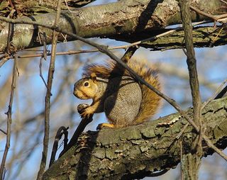 4081183289_d6a45cc3cf