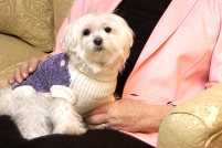 Leonas_maltese_trouble