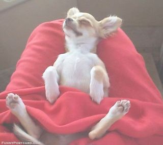 Do-your-part-to-help-animals