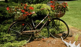 Bike planter 2