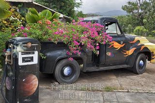 Pickup truck planter
