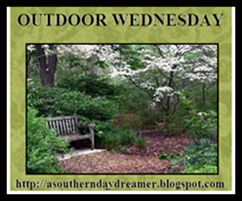 OutdoorWednesdaylogo55