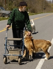 Captb7124e2091a3401d9099e6186773206