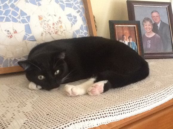 Work Strategy Worked